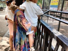 -长白岛森林公园