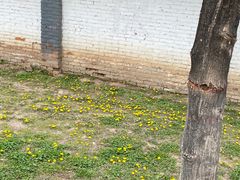 -洨河生态公园