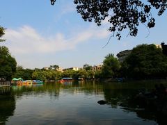 -莲湖公园