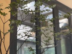 -小巨场咖啡