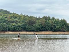 -江西景德镇玉田湖国家湿地公园