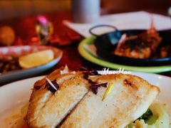 -TOMATITO(无限极荟店)