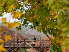 -九如山休闲旅游度假区