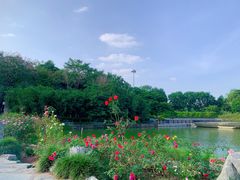 -东莞植物园