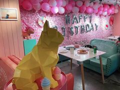 店内布置-百好乐宠物友好餐厅(朝外大街店)