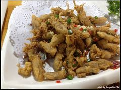 IMG_1367-破店(井大店)