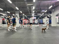 -FIGHTMAN格斗俱乐部(长宁临空店)