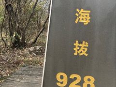 -江南天池