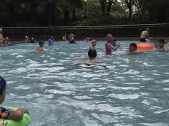 -沈坚强游泳俱乐部(长征分部)