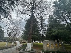 -水绘园