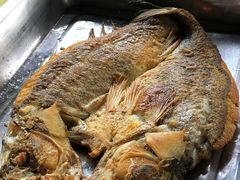 -大岗仙庙烧鸡(花东店)