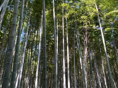 -同里国家湿地公园