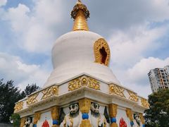-护国法轮寺
