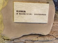 -白鹤梁水下博物馆