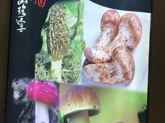 -爱膳菌锅锅(阳南店)