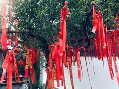 -濮园 · 四合院餐厅