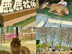 -盈香心动乐园