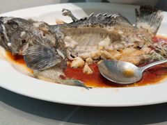 -紫阳海鲜楼·传承闽味(长乐路总店)