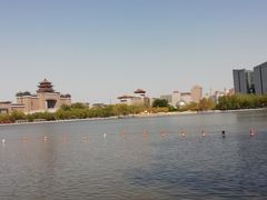 -莲花池公园