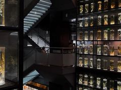 -广东中医药博物馆