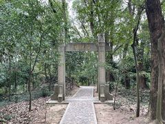 -上海佘山国家森林公园天马山园