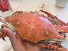 -绫罗岛海鲜私房菜(鸭绿江边店)
