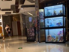 -上海金逸影城(静安大悦城店（原新恒星影城）)