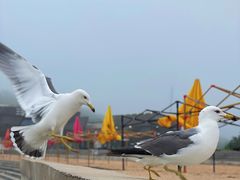 -石槽海滨浴场