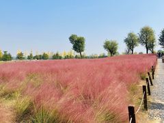 -汉长安城未央宫国家考古遗址公园