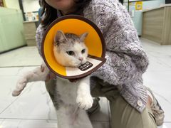 -嘉馨宠物医院·CT影像转诊·心脏科·犬猫全科诊疗中心(下沙大学城院区)