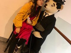 -济州岛泰迪熊博物馆