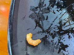 -台州老六海鲜面馆(上南总店)