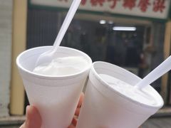 -洪馨椰子