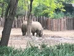 -北京野生动物园