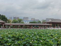 -荔湾湖公园