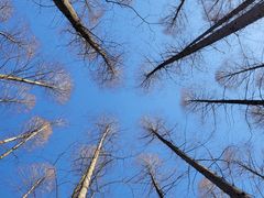 -上海怡沁园度假酒店