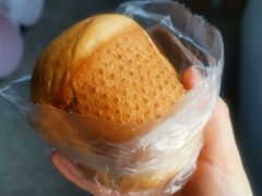 -白玉兰食品(甜云店)