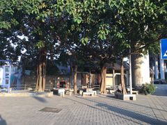 -小洲村