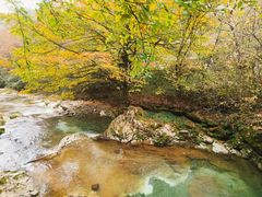 -光雾山旅游景区