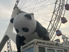 -天津之眼摩天轮