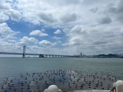 -星海广场