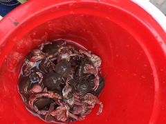 碧海金沙水上乐园-碧海金沙