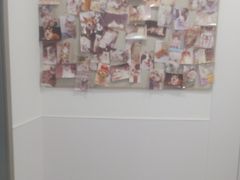 -宠物星动物医院·眼科·异宠·猫科(江南大道总院)