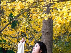 -龙口南山旅游景区