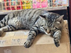 -正阳书局(西四南大街店)