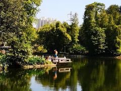 -晓港公园