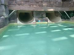 -杭州开元森泊度假乐园