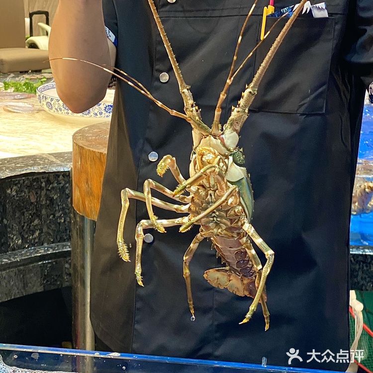 这家潮州菜好赞！就在拱北口岸耶！海鲜好新鲜！