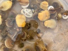 -东戴河风景区-止锚湾