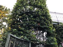 -三鹰之森吉卜力美术馆